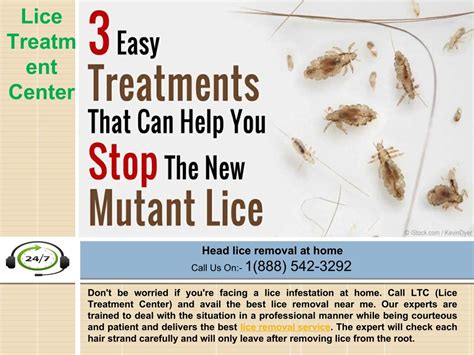 louse store|lice treatment clinic near me.